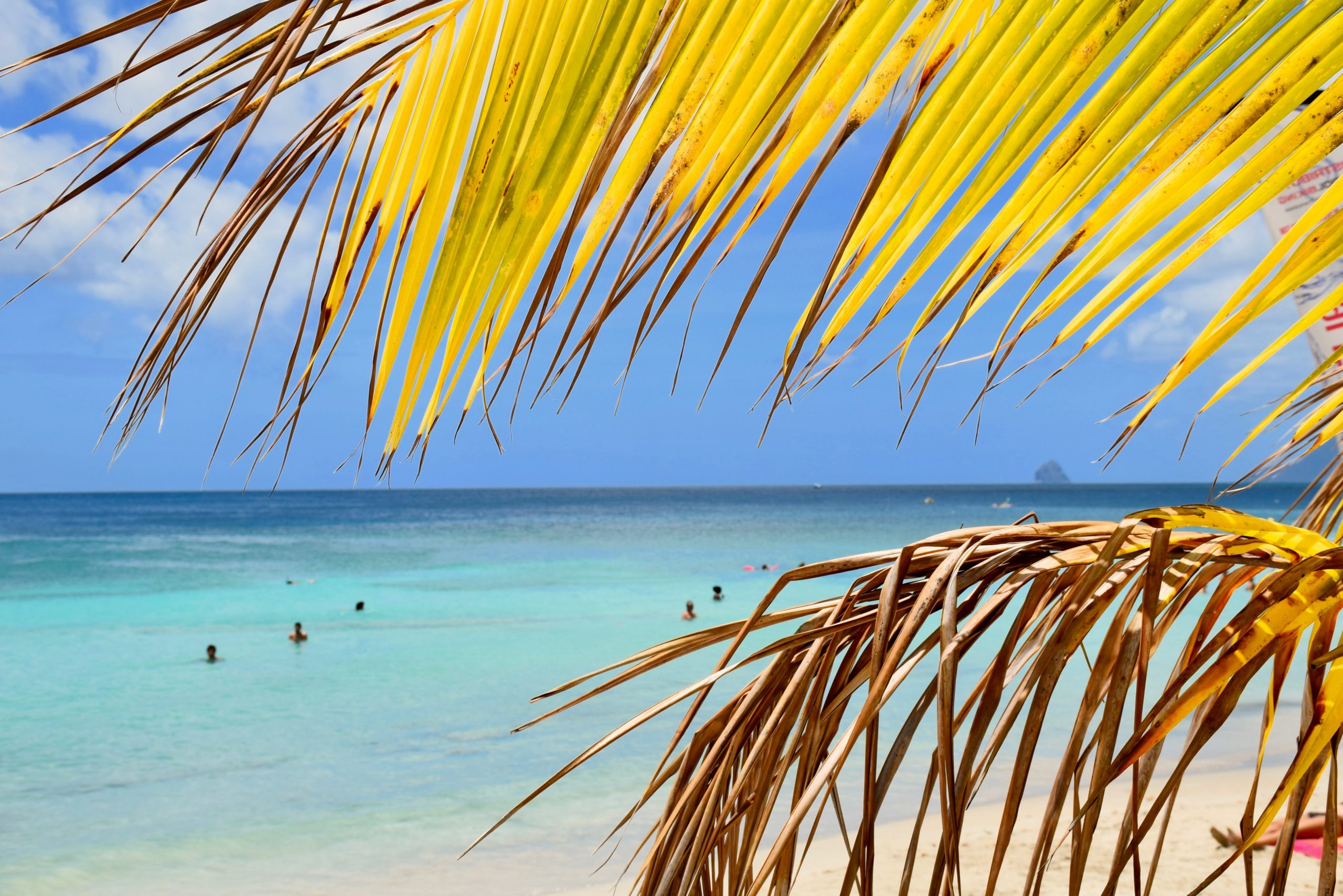 TOP 10 des plus belles plages de Martinique